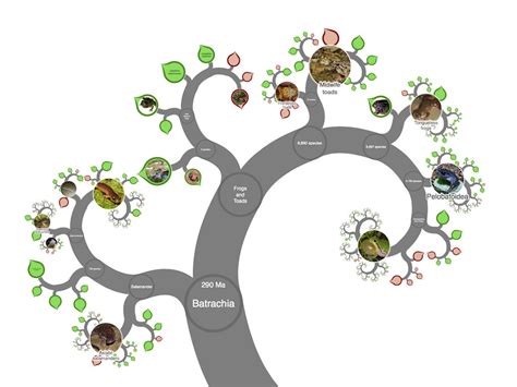 OneZoom Tree of Life Explorer.